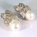 Pendientes Camberra