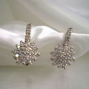 Pendientes Grace